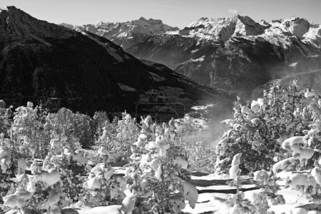 Foto de Monocromo de nieve fresca en los árboles y la estación de esquí de Nendaz en el fondo en el cantón Valais del sur de Suiza - Imagen libre de derechos