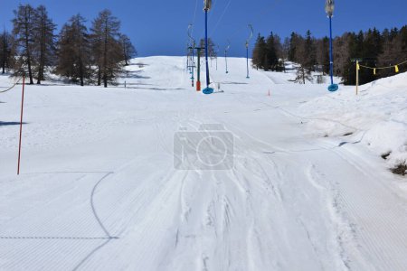 Photo for Drag lifts and ski slopes, surrounded by pine and larch trees, under a clear blue sky - Royalty Free Image