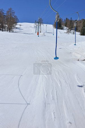 Photo for Drag lifts and ski slopes, surrounded by pine and larch trees, under a clear blue sky - Royalty Free Image
