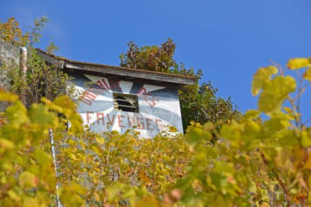 Téléchargez les photos : Petite maison abandonnée dans un vignoble à l'automne - en image libre de droit