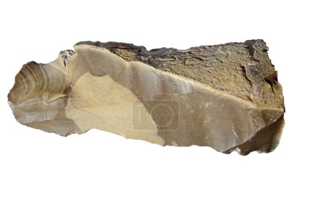 Photo for An Ice Age flint chisel made by Neanderthals dated to approximately 80,000 years ago. - Royalty Free Image