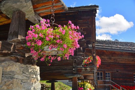 Photo for Hanging Basket of Geraniums suspended from a traditional Swiss chalet in the mountains - Royalty Free Image