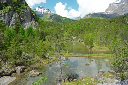Téléchargez les photos : Une piscine de montagne dans les Alpes suisses, dans la vallée de Derborance sous le glacier Diablerets - en image libre de droit