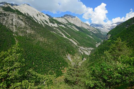 Foto de El valle del Derborance en los Alpes suizos, una reserva natural. En la distancia la cumbre del Haut du Cry y el glaciar Diablerets. - Imagen libre de derechos