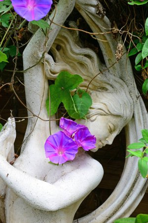 Foto de Estatua de la Diosa Afrodita en un jardín sombreado con una vid de gloria matutina - Imagen libre de derechos