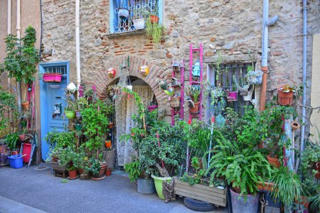 Foto de Una entrada arqueada a una casa en una antigua calle francesa decorada con flores y cactus - Imagen libre de derechos