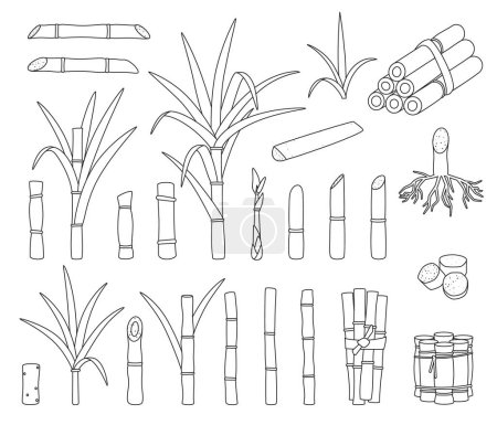 Téléchargez les illustrations : Sugar cane isolated outline set icon. Vector outline set icons sugarcane. Vector illustration sugar cane on white background. - en licence libre de droit