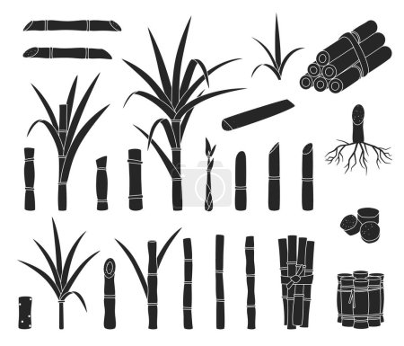 Téléchargez les illustrations : Sugar cane isolated black set icon. Vector black set icons sugarcane. Vector illustration sugar cane on white background. - en licence libre de droit