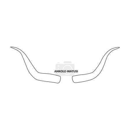 Illustration for Horn ankole-watusi vector icon.Outline vector logo isolated on white background horn ankole-watusi. - Royalty Free Image