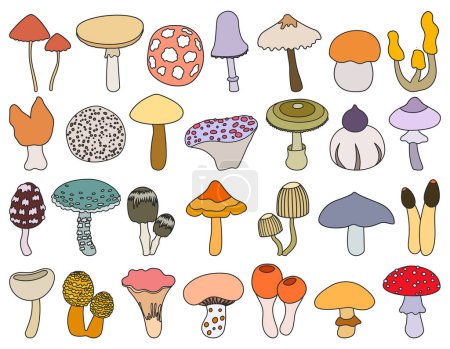 Ilustración de Mushroom toadstool isolated color set icon. Vector illustration fungus on white background.Color vector set icons mushroom toadstool . - Imagen libre de derechos