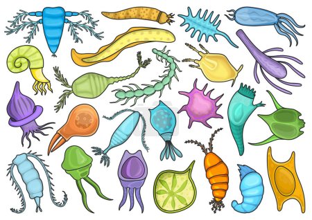 Plancton vector color conjunto icono. Iconos de colores aislados fitoplancton. Plancton de ilustración vectorial sobre fondo blanco.