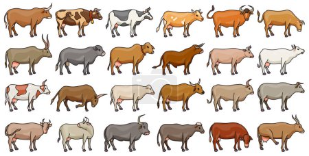 Cow of animal vector color set icon.Isolated color icons farm animal of cow.Vector illustration cattle for farm on white background.