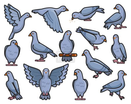 Illustration for Pigeon of peace color vector illustration on white background.Vector illustration set icons dove of bird .Isolated set color icon pigeon. - Royalty Free Image