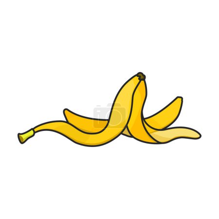 Illustration for Banana vector icon.Color vector logo isolated on white background banana. - Royalty Free Image