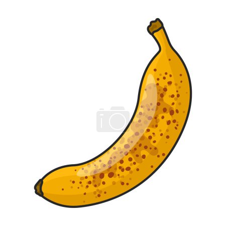 Illustration for Banana vector icon.Color vector logo isolated on white background banana. - Royalty Free Image