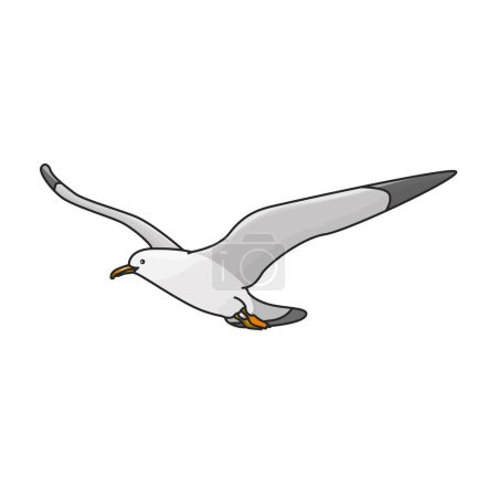 Icône vecteur de mouette d'oiseau.Logo vecteur de couleur isolé sur fond blanc mouette d'oiseau.
