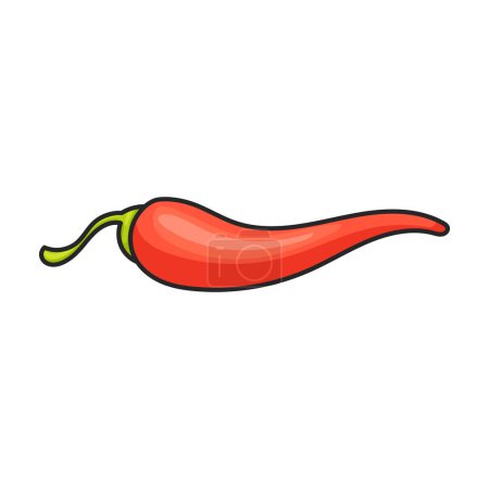 Ilustración de Pimienta picante vector icon.Color logotipo del vector aislado sobre fondo blanco pimienta picante . - Imagen libre de derechos
