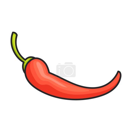Illustration for Spicy pepper vector icon.Color vector logo isolated on white background spicy pepper . - Royalty Free Image