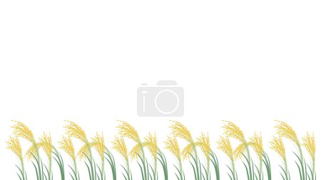 Ilustración de Ilustración de fondo de espigas de arroz dispuestas una al lado de la otra. - Imagen libre de derechos
