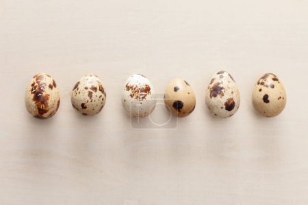 Foto de Huevos de codorniz dispuestos sobre fondo de madera blanca - Imagen libre de derechos