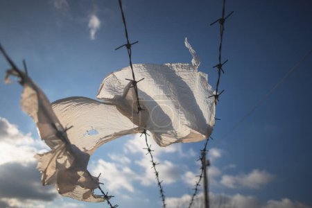 Photo for Plastic bag stuck in barbed wire fence - Royalty Free Image