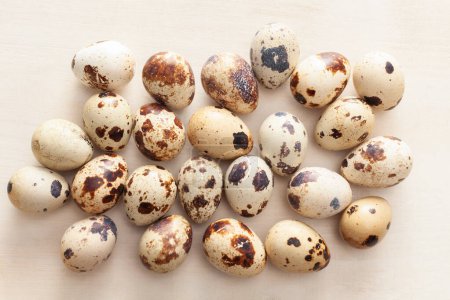 Photo for Quail eggs arranged on white wooden background - Royalty Free Image