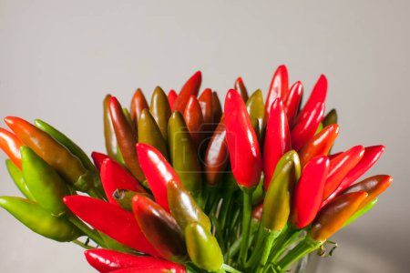 bunch of small chili peppers on white background