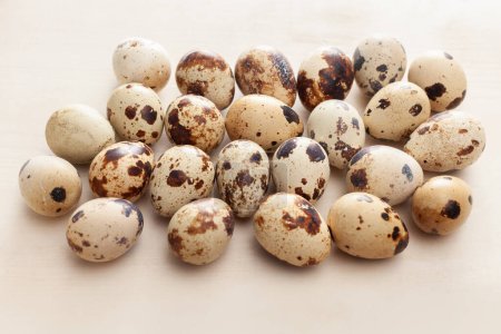 Photo for Quail eggs arranged on white wooden background - Royalty Free Image
