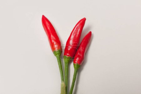 Photo for Bunch of small chili peppers - Royalty Free Image