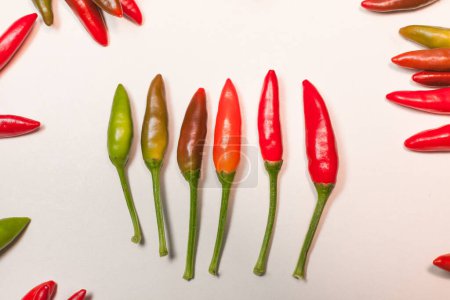 bunch of small chili peppers