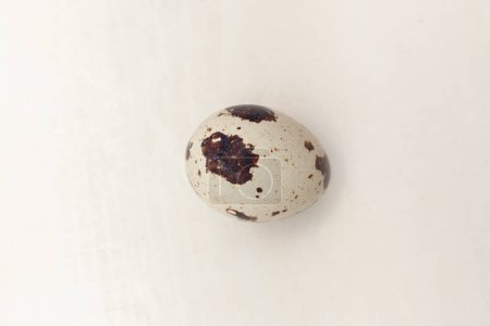 Photo for Quail egg arranged on white wooden background - Royalty Free Image