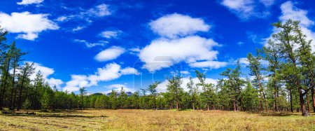 Photo for Panoramic view of Taiga boreal forest in Khuvsgul Lake National Park on a sunny summer day, Khovsgol Province of northern Mongolia - Royalty Free Image