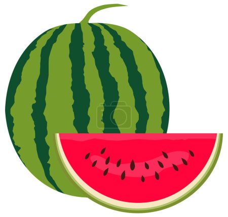 Frische saftige Wassermelone Illustration, isoliert auf weißem Hintergrund. ZIP-Datei enthält die Formate EPS, JPEG und PNG.