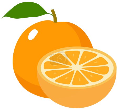 Téléchargez les photos : Rafraîchissements orange juteux illustration de fruits, entier et demi, isolé sur fond blanc. Le fichier ZIP contient les formats EPS, JPEG et PNG. - en image libre de droit