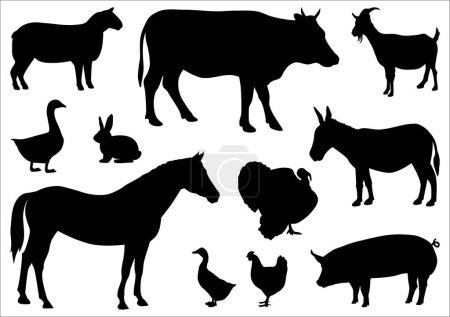 Téléchargez les photos : Ensemble silhouette animaux de ferme, illustrations vectorielles isolées sur blanc - en image libre de droit