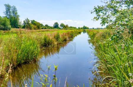 Photo for Beautiful wide view over a canal in the polders around the Reeuwijkse Plassen (near Gouda), the Netherlands - Royalty Free Image