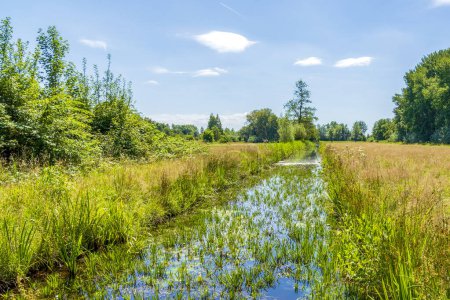 Foto de The beautiful polders with canals and trees around the Reeuwijkse Plassen near Gouda, the Netherlands - Imagen libre de derechos