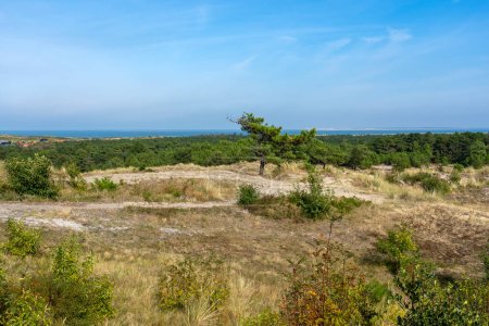 Photo of the dune area of the island of Vlieland