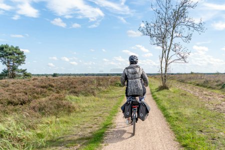 Téléchargez les photos : Vaste piste cyclable à travers les belles landes près de Putten, Pays-Bas - en image libre de droit
