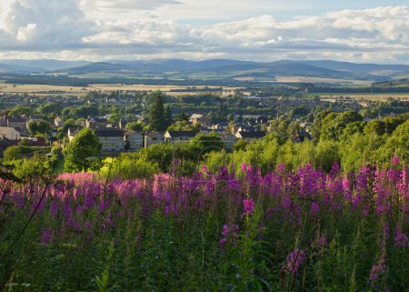 A city from a hill.   Forfar, Scotland - July 31, 2017   The picturesque landscape of Forfar, Scotland, seen from Balmashanner Hill.