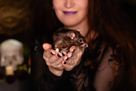 Téléchargez les photos : Close-up of a black rat in the hands of a witch in black clothes with disheveled hair. Halloween witch. - en image libre de droit