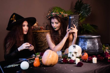 Foto de Two witches sit at a table with pumpkins, a skull, herbs and a cauldron, coven concept, halloween celebration. - Imagen libre de derechos