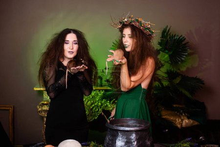 Foto de Dos brujas con ratas en sus manos posan sobre un fondo oscuro. - Imagen libre de derechos