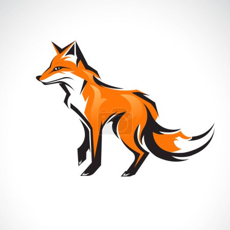 Illustration for Vector of a fox design on white background. Wild Animals. - Royalty Free Image