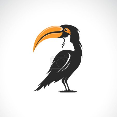 Téléchargez les illustrations : Vector of a hornbill design on white background. Bird. Wild Animals. - en licence libre de droit