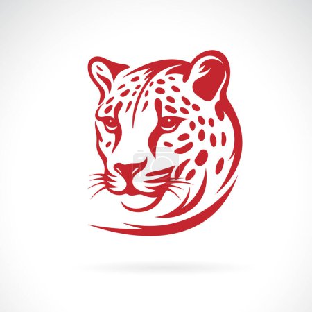 Vector of cheetah head on white background. Wild Animals. Easy editable layered vector illustration.