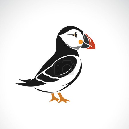 Illustration for Vector of a puffin bird design on white background. Wildlife Animals. Easy editable layered vector illustration. - Royalty Free Image