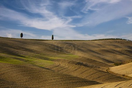 Rural landscape of Tuscany in Val d'Orcia