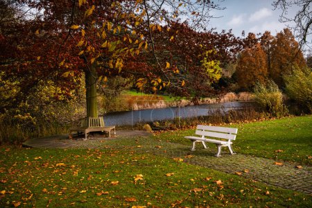 Foto de Un banco de madera blanca en un parque de otoño y un banco debajo de un árbol junto al agua en un colorido parque de otoño, hojas coloridas en la hierba en un día soleado. Westfalenpark, Dortmund, Alemania. - Imagen libre de derechos