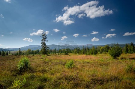 Panorama de montagne à la tourbière Tarnawa. Habitat des tourbières dans les montagnes, Tarnawa Wyzna, Bieszczady, Parc national de Bieszczady, Carpates orientales extérieures, Pologne